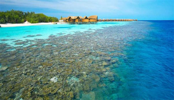 MALDIVES